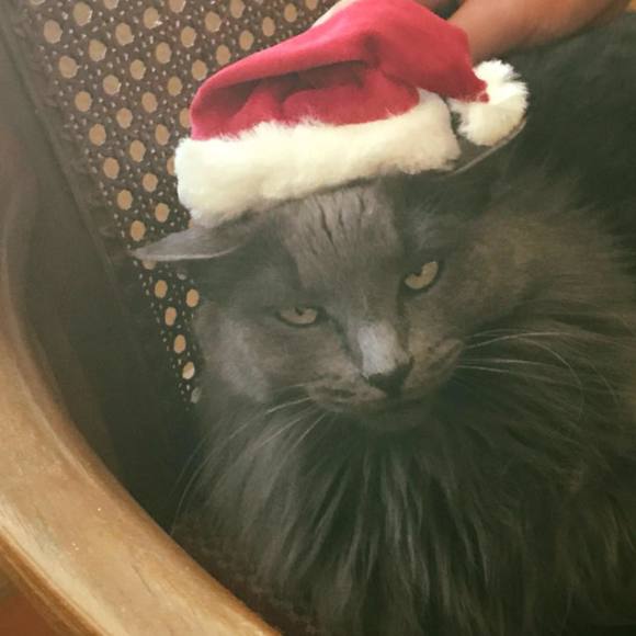 Meet your Posher, Stacy - Picture 1 of 1